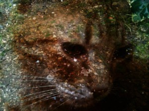 Terristoire _ Emmanuelle Sarrouy